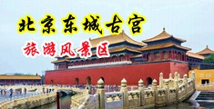 男人草女人真人视频中国北京-东城古宫旅游风景区